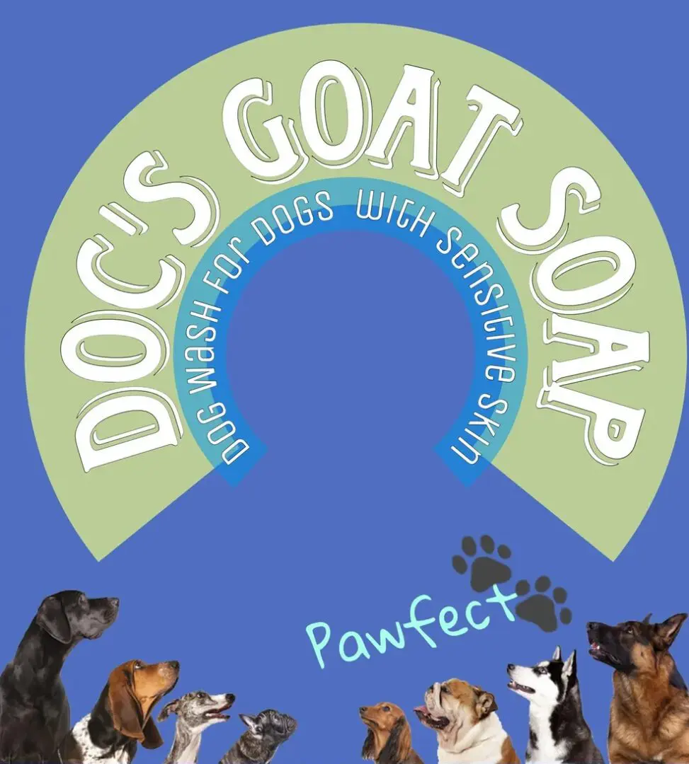 Goat milk soap for sensitive dog skin.