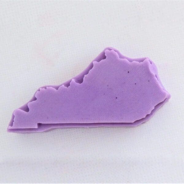 Purple outline of the state of Virginia.