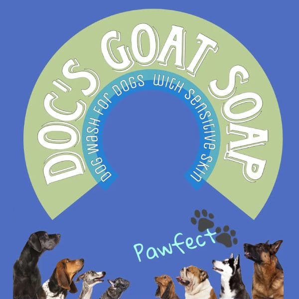 Goat soap for dogs with sensitive skin.