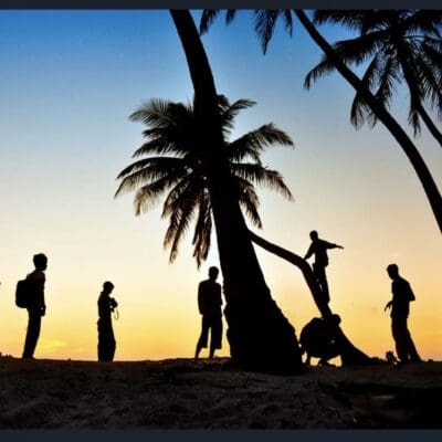 Silhouettes under palm trees at sunset.